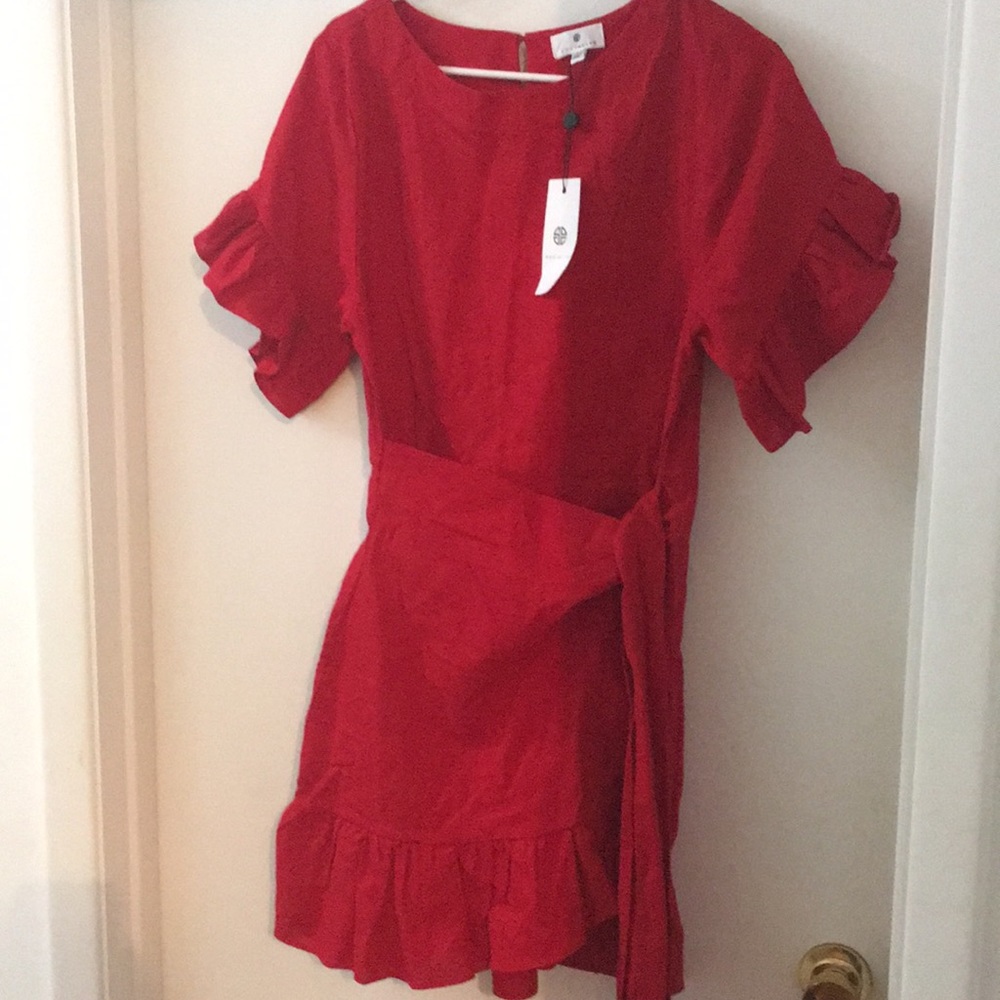 Socialite dress Small